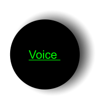 Clear Voice Solutions